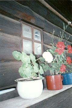 eika image